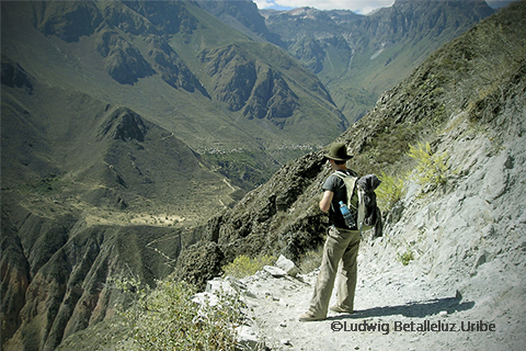 trekker colca canyon